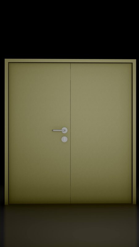 SAGA Double Sash Fire Door Type 3